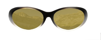 /fittingroom/images/glasses/product_4193.png